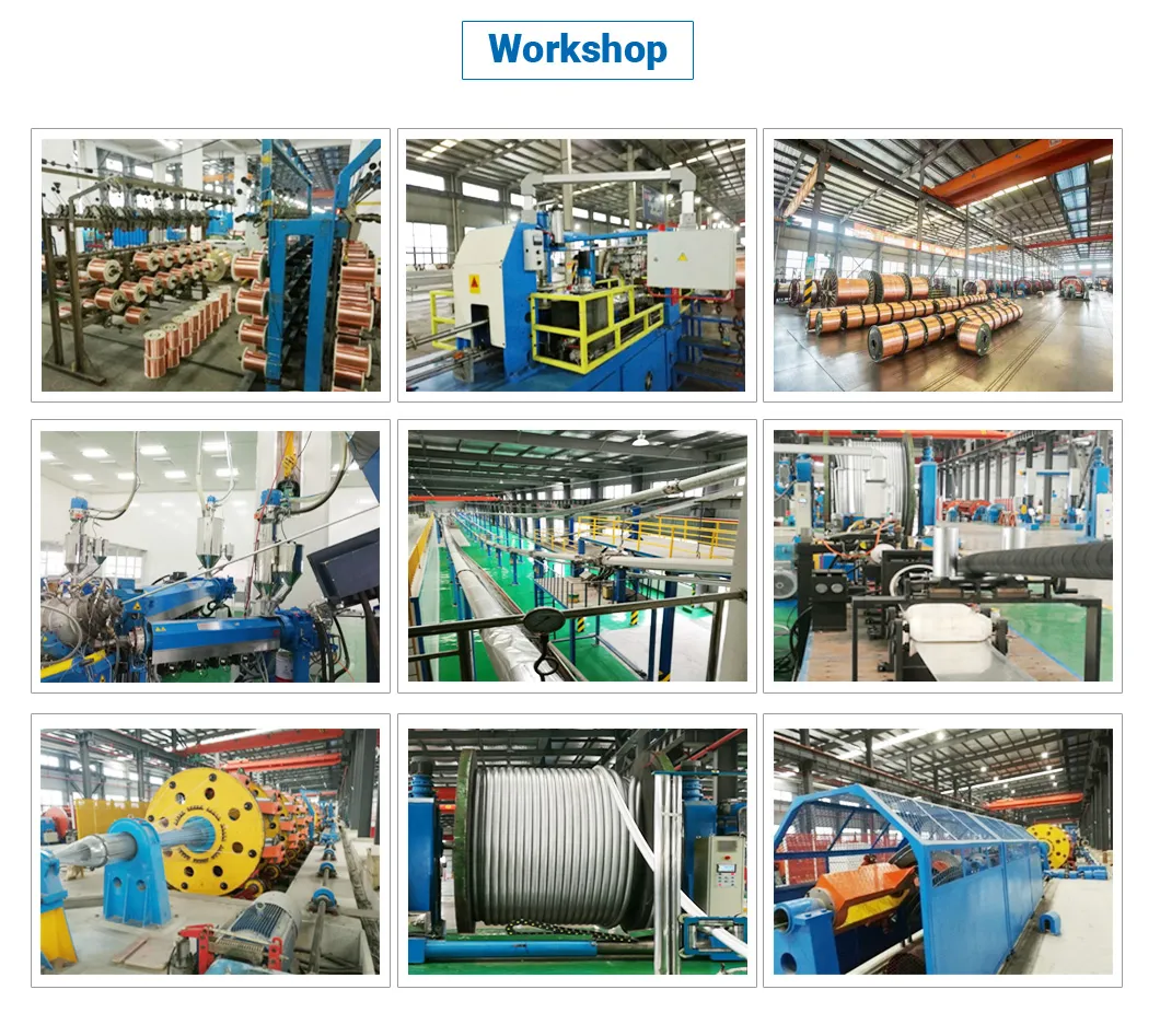 300/500V, 450/750V H07rn-F 4mm2 6mm2 10mm2 16mm2 25mm2 35mm2 Dây cáp điện cao su dẻo cách điện EPR dẫn đồng dùng cho hàn 1