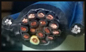 Good price Pendant Cable for Handle Button & Electric Hoist trực tuyến