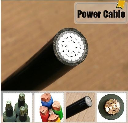 Good price 0.6/1KV XLPE Insulation YJV Power Cable，ECHU Power Cable trực tuyến